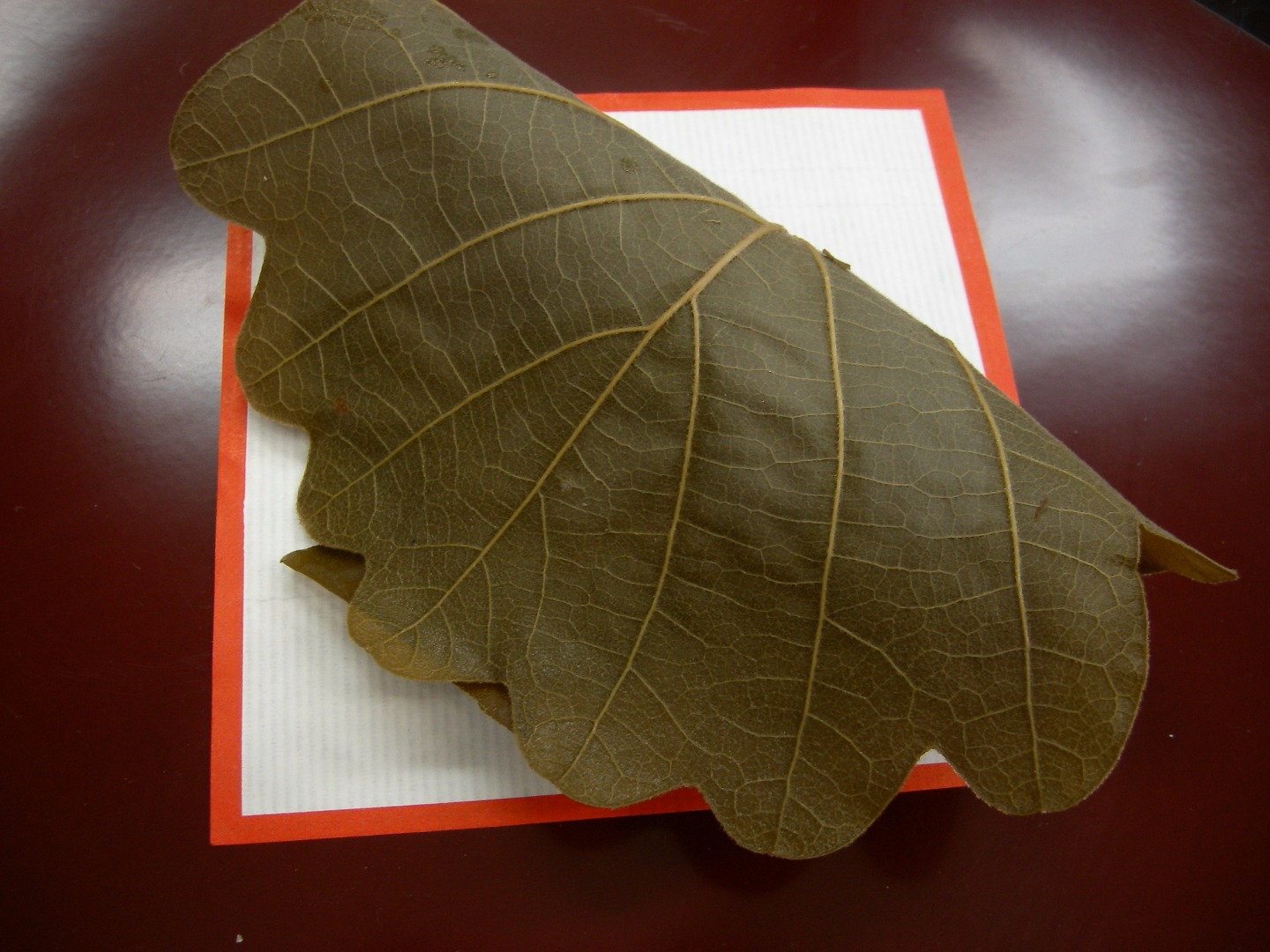 お菓子のご案内