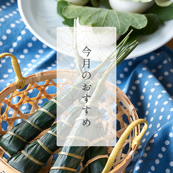 今月のおすすめ